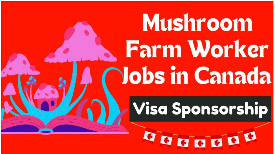 mushroom farming canada